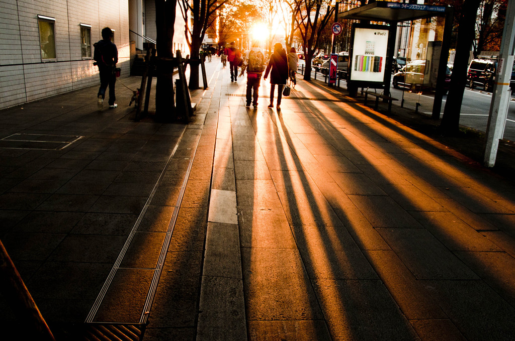 sunset