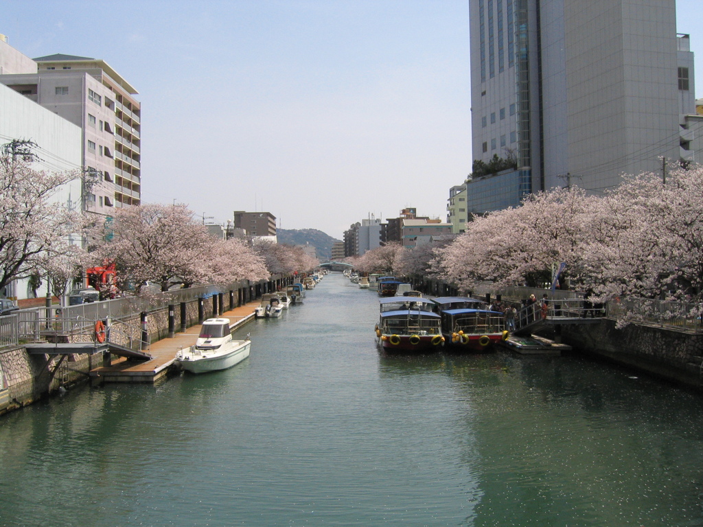 堀川