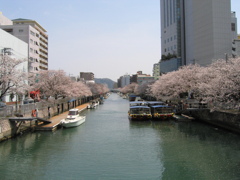 堀川
