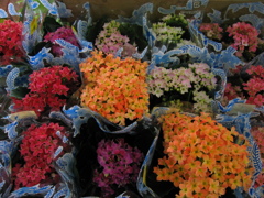花屋