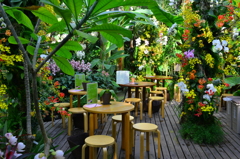 温室カフェ