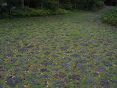 石畳の道