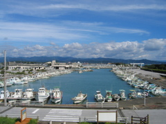 日曜日の漁港