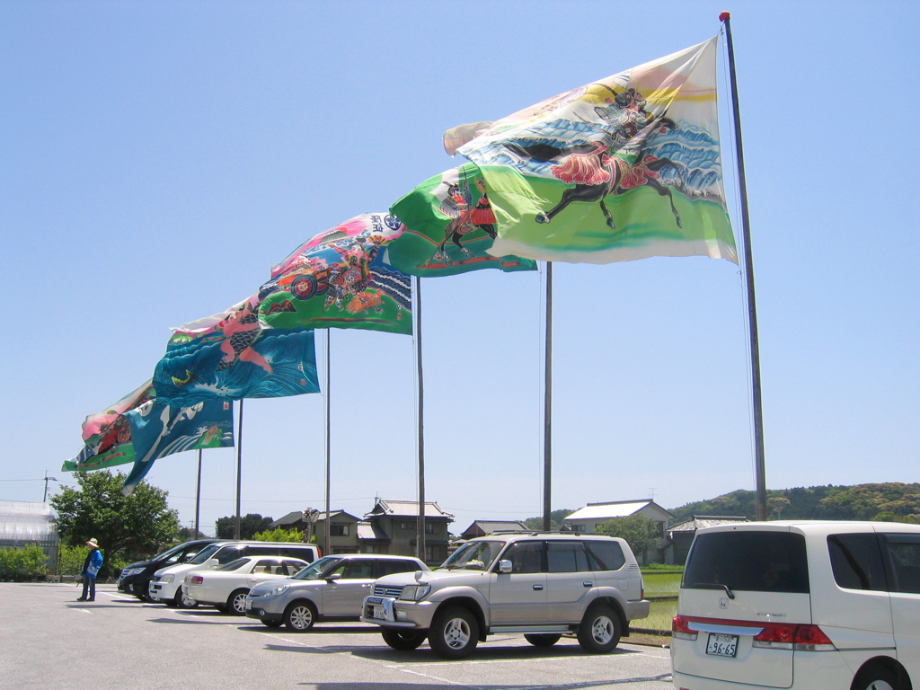 Show the flags