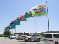 Show the flags