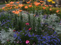 それぞれの花