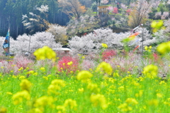 花々の山