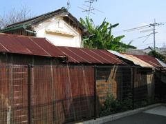 茶色