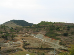 道