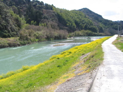 川沿いの道