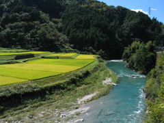 米と水
