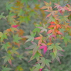 静かな始まり