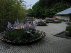 花壇