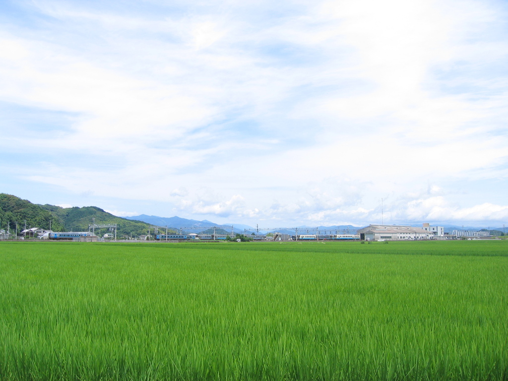田園の中の車両基地