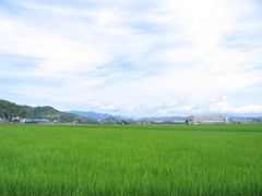 田園の中の車両基地