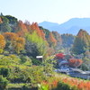 里山の紅葉