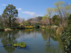 春のモネの庭　その２