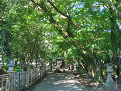 神社参道