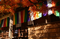 晩秋の寺