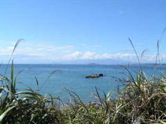 PICT0001