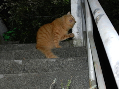 ふぎゃっ