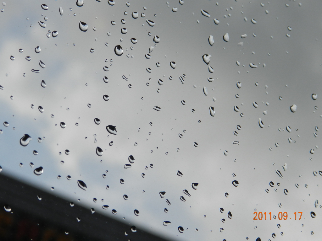 Rain