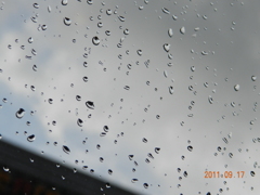 Rain