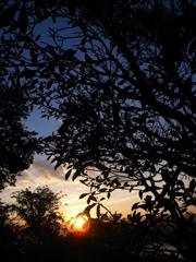 ラオス　ルアンプラバーンの夕日