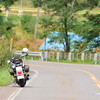 秋の山道