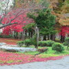 １１月の公園