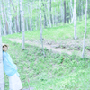 Please listen to the forest-すずらんの森-
