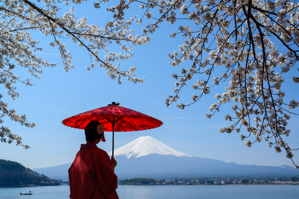 相合い傘-富士と桜と紅傘と-