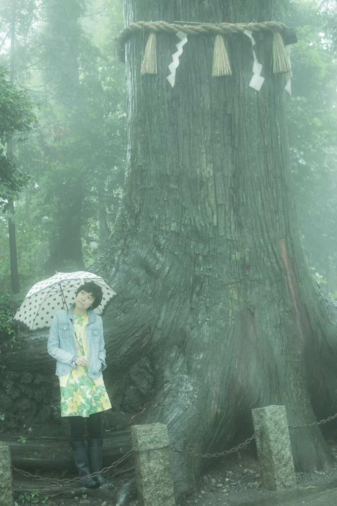 雨音聴きながら…。