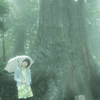 雨音聴きながら…。