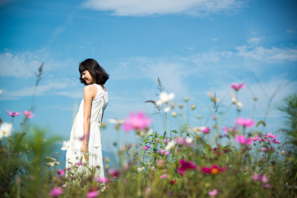 cosmos beauty