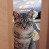 保護してから5ヶ月　1