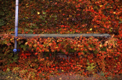 oct30#31_1