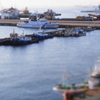 R1134760_1