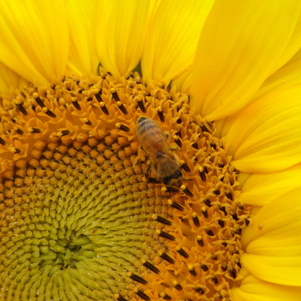 20110724_2362_1
