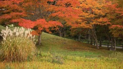 ダム公園の紅葉　１