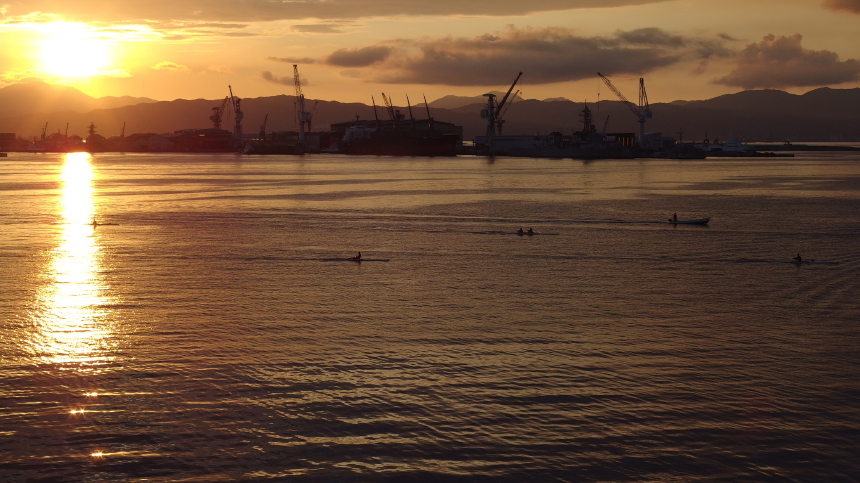 IMGP2906_1
