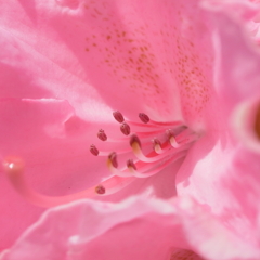 R1134754_2