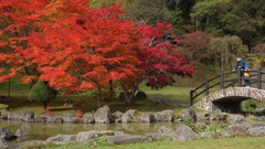 ダム公園の紅葉　５