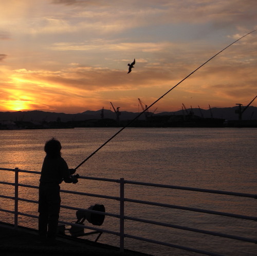 摩周丸近くの釣り人