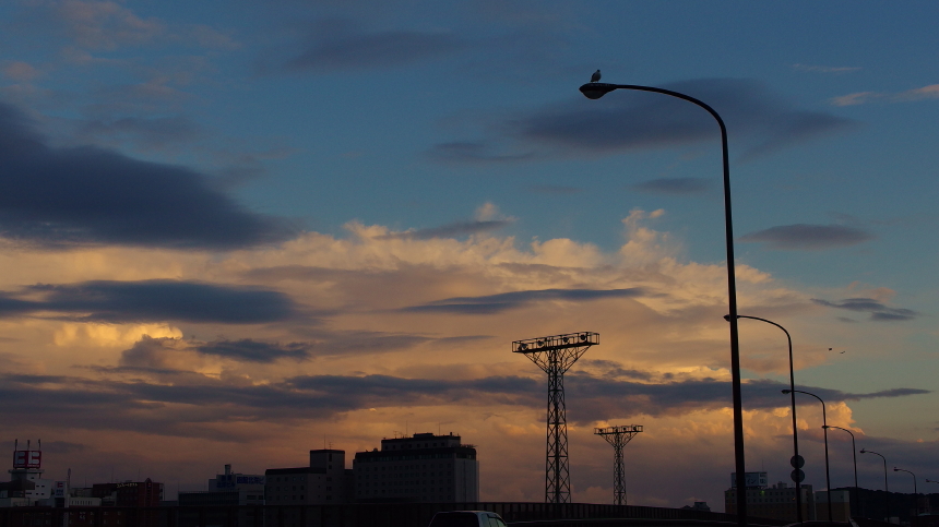 IMGP2816_1