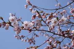 発表はまだですが…