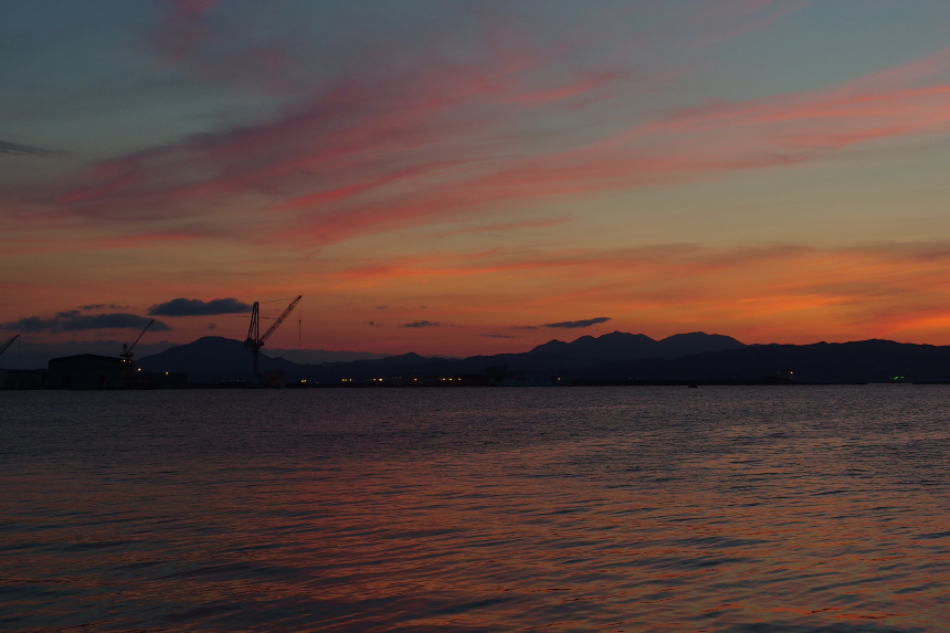 IMGP2373_1