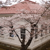 函館公園にて　７
