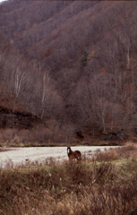 Nov03647_1