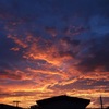 7月24日の夕焼け2
